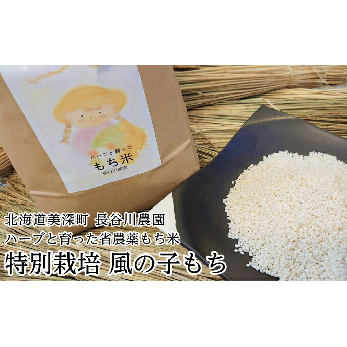 【ふるさと納税】ハーブと育った省農薬の特別栽培もち米「風の子もち」5kg×1【北海道美深町】長谷川農園 餅米 　お届け：2025年11月頃から発送開始