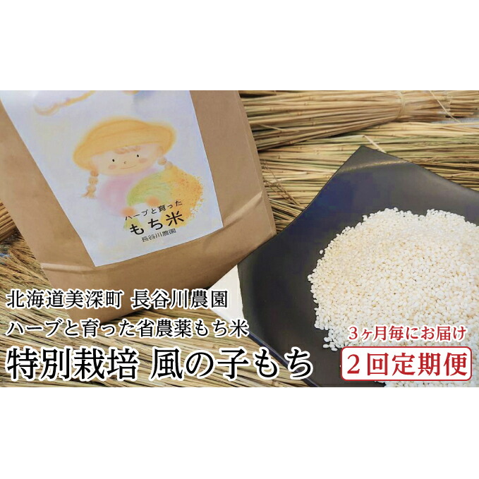 【ふるさと納税】3ヶ月毎にお届け［2回定期便］ハーブと育った省農薬の特別栽培もち米「風の子もち」5kg×1【北海道美深町】長谷川農園 餅米 北海道産 　お届け：2025年11月頃から発送開始