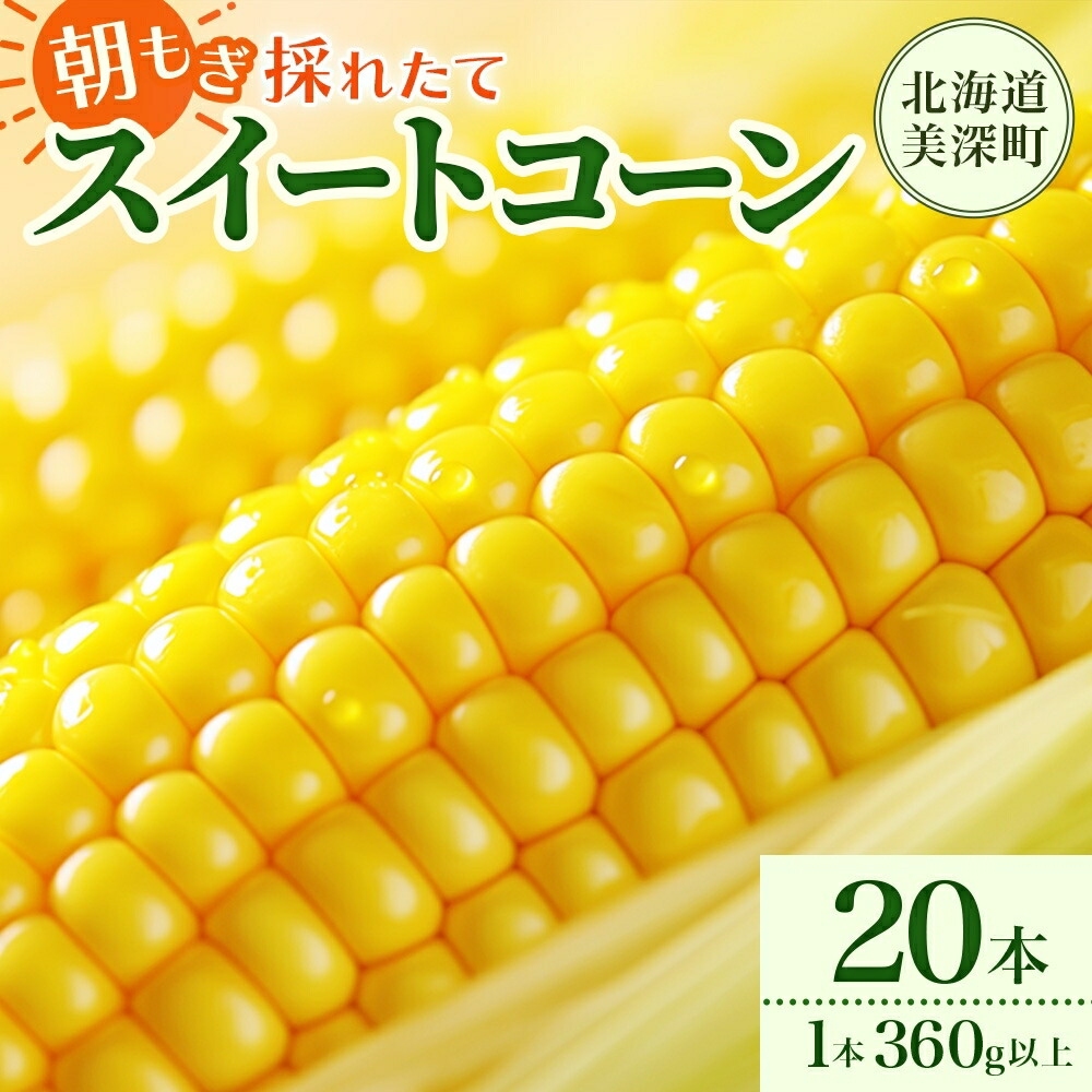 【ふるさと納税】とうもろこし 20本 スイートコーン トウモロコシ コーン 甘い 採れたて 朝採り 野菜 旬の野菜 農作物 お取り寄せ 北海道産 産地直送 北海道 美深町 お届け：2025年8月上旬～2025年8月下旬　お届け：2025年8月上旬～2025年8月下旬