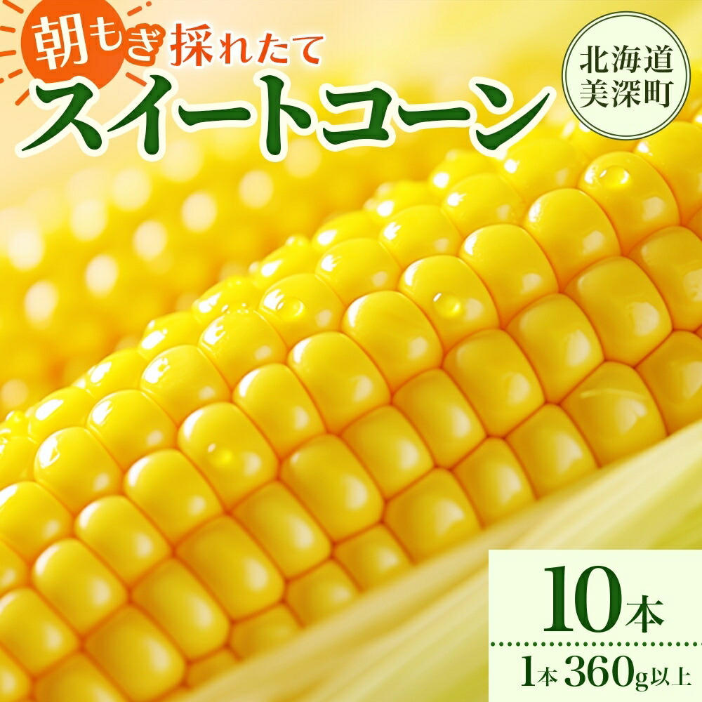 【ふるさと納税】とうもろこし 10本 スイートコーン トウモロコシ コーン 甘い 採れたて 朝採り 野菜 旬の野菜 農作物 お取り寄せ 北海道産 産地直送 北海道 美深町 お届け：2025年8月上旬～2025年8月下旬　お届け：2025年8月上旬～2025年8月下旬