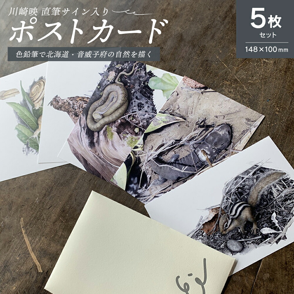 【ふるさと納税】川崎映  郵便うけ歌留多仕掛ける 5種仕掛ける 自筆表われ入り口・入口【01470-0025】室内装飾 私製絵はがき 作物 置き手紙 私製絵はがき 活動写真 差し上げ物 貨物輸送無料 北海道 音威子府村