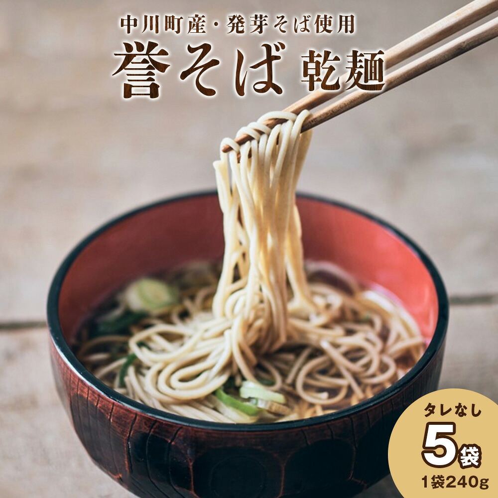 【ふるさと納税】北海道中川町産発芽そば使用　誉そば５袋セット（乾麺240g&times;５袋）タレなし｜北海道中川町