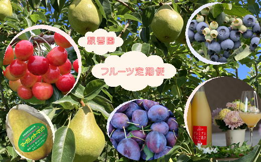 【ふるさと納税】7-060-006　秋香園の果物定期便　果物類・フルーツ　お届け：～10月まで各発送月に発送