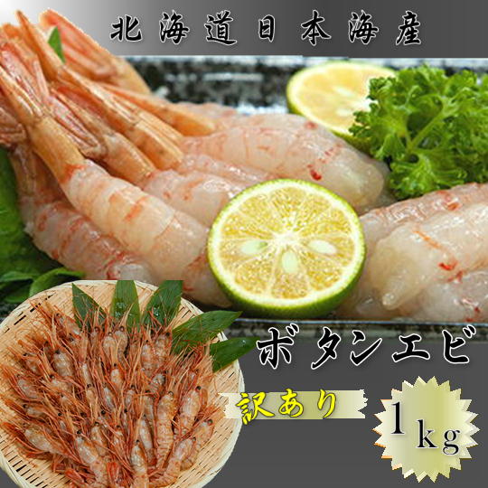 【ふるさと納税】7-014-002　訳ありボタンエビ 1kg（21～45尾）　海老・ぼたんエビ・海老・エビ・魚介類　お届け：入金確認後、2週間～1ヶ月前後