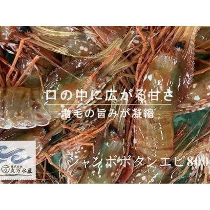 【ふるさと納税】7-030-002　【北海道産】冷凍ジャンボボタンエビ800g（12尾～16尾）　海老・ぼたんエビ・海老・エビ・魚介類　お届け：入金確認後、1週間～1ヶ月以内