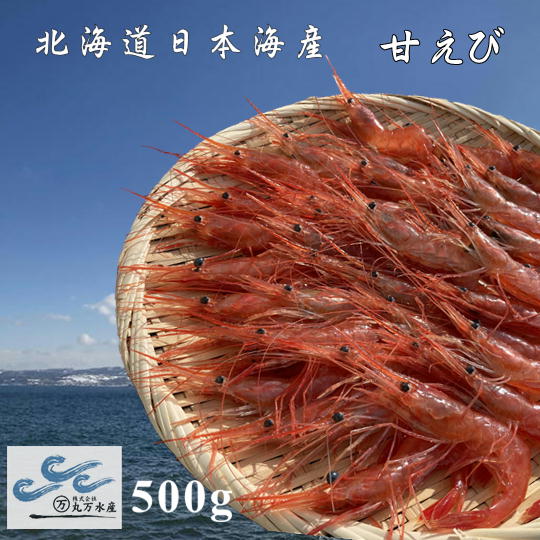 【ふるさと納税】7-016-007　冷凍甘えび 1kg（70尾～90尾）　甘海老・あまエビ・海老・エビ・魚介類　お届け：入金確認後、1週間～1ヶ月以内