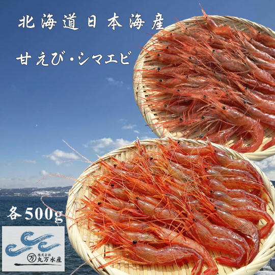 【ふるさと納税】7-016-009　冷凍甘えび・しまえびセット 各500g　海老・エビ・甘海老・あまエビ・海老・エビ　お届け：入金確認後、1週間～1ヶ月以内