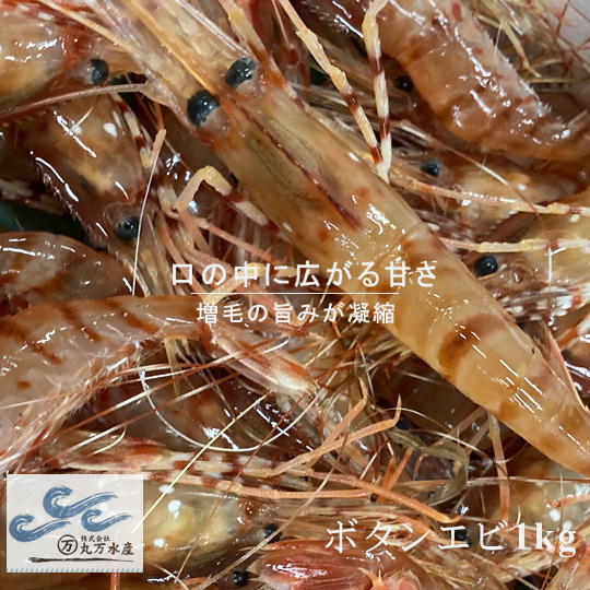 【ふるさと納税】7-028-003　冷凍ボタンエビ 1kg（34尾～46尾入）　海老・ぼたんエビ・海老・エビ・魚介類　お届け：入金確認後、1週間～1ヶ月以内