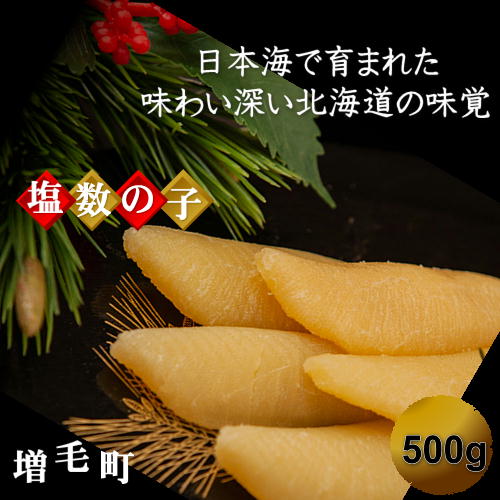 【ふるさと納税】7-016-005　北海道産塩数の子 500g（10本～14本入）【10月～発送】　魚貝類・数の子　お届け：入金確認後、随時発送（10月～12月）