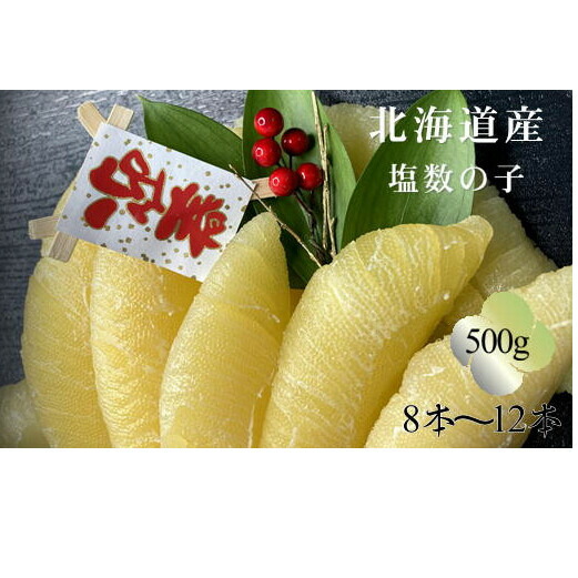 【ふるさと納税】8-017-003　北海道産塩数の子 500g　魚貝類・数の子　お届け：入金確認後、11月1日以降発送