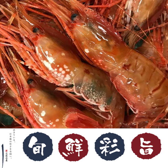 【ふるさと納税】7-040-004　冷凍ジャンボボタンエビ 1kg（500g×2）　海老・ぼたんエビ　お届け：入金確認後、1週間～1ヶ月以内