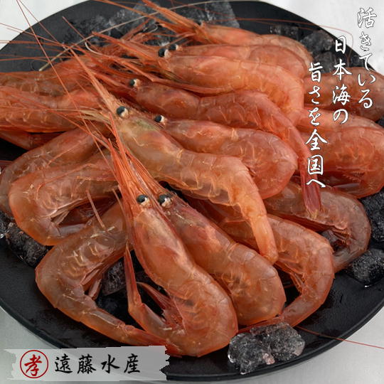 【ふるさと納税】7-012-008　甘えび 1kg（80尾前後）　甘海老・あまエビ　お届け：入金確認後、1週間～1ヶ月以内