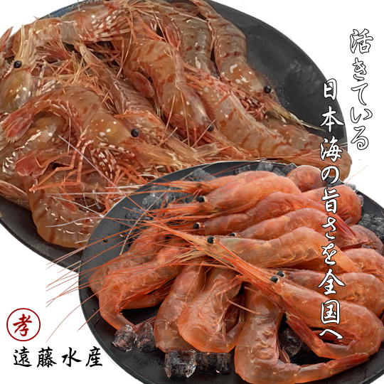 【ふるさと納税】7-018-007　甘えび・ボタンエビセット 各500g　蟹・カニ・甘海老・あまエビ・海老・ぼたんエビ　お届け：入金確認後、1週間～1ヶ月以内