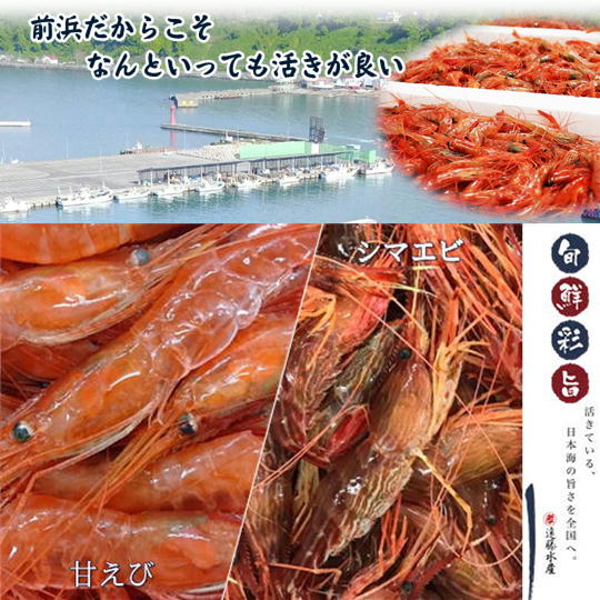 【ふるさと納税】7-012-007　甘えび・しまえびセット 各500g　蟹・カニ・甘海老・あまエビ　お届け：入金確認後、1週間～1ヶ月以内