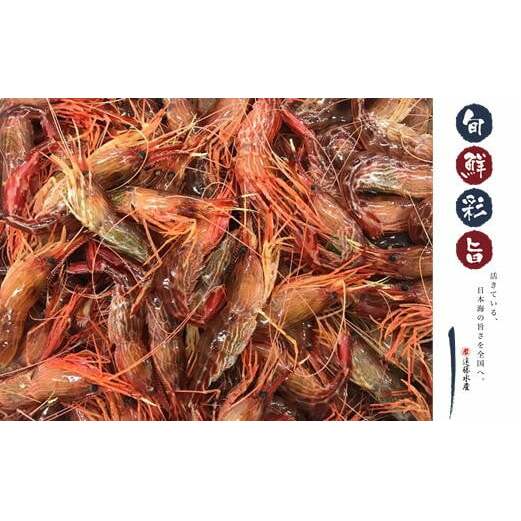 【ふるさと納税】7-012-006　しまえび 1kg（500g×2）　海老・エビ　お届け：入金確認後、1週間～1ヶ月以内
