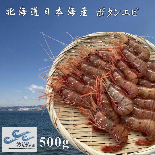 【ふるさと納税】7-015-002　冷凍ボタンエビ 500g（約20尾）　海老・ぼたんエビ　お届け：入金確認後、1週間～1ヶ月以内