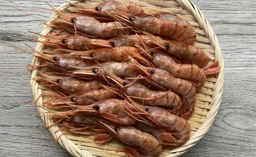 【ふるさと納税】7-010-001　ましけのボタンエビ 700g（350g×2）　海老・ぼたんエビ　お届け：入金確認後、2週間～1ヶ月前後