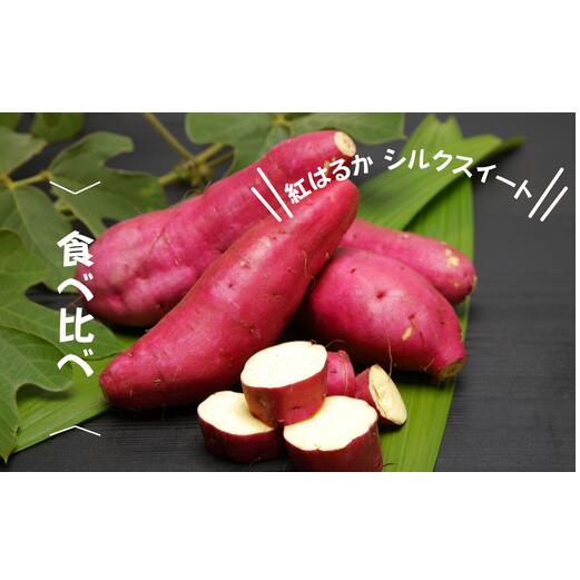 【ふるさと納税】7-010-027　さつまいも食べ比べ（紅はるか・シルクスイート）5kg【マルゼン佐藤果樹園】　お届け：10月中旬～3月