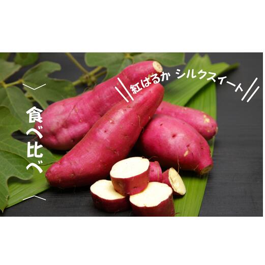 【ふるさと納税】7-005-009　さつまいも食べ比べ（紅はるか・シルクスイート）2kg【マルゼン佐藤果樹園】　お届け：10月中旬～3月