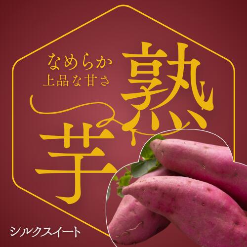 【ふるさと納税】7-010-026　さつまいも（シルクスイート）5kg【マルゼン佐藤果樹園】　お届け：10月中旬～3月