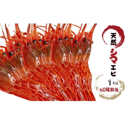 【ふるさと納税】8-034-001 天然シマエビ 1kg(60尾前後) お届け:入金確認後、1週間~1ヶ月以内|北海道増毛町