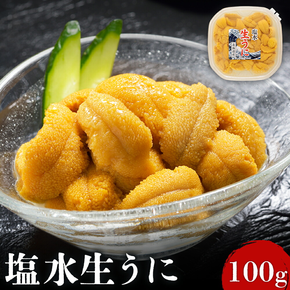 【ふるさと納税】北海道産 塩水ウニ 100g 【6月上旬から8月中旬発送予定】 | ウニ うに 100g 1パック ミョウバン不使用 北海道 北るもい海域 人気 旬 新鮮 羽幌町 羽幌 ふるさと納税【0211702】|北海道羽幌町