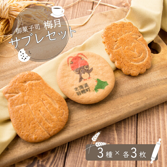 【ふるさと納税】御菓子司梅月 サブレセット （3種×各3枚）サブレ 9枚 3種類 スイーツ 取り寄せ ご当地 お菓子 おやつ グルメ オロ坊 北海道 小分け クッキー 焼菓子 焼き菓子 お土産 ふるさと納税 羽幌町 羽幌【1110101】