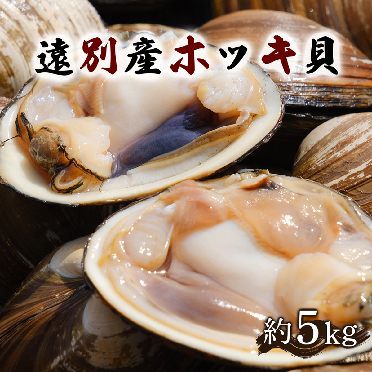【ふるさと納税】【事前予約】遠別産ホッキ貝（約５ｋｇ）　ほっき貝 ホッキ貝 貝 海鮮 魚介類 おつまみ お酒のお供 北海道 遠別町