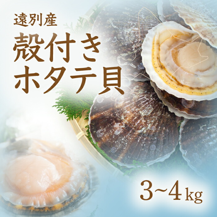【ふるさと納税】北海道遠別町 殻付きホタテ 約3～4kg｜北の海で育つぷりっと甘い天然帆立【R8年5月下旬より順次発送・事前予約】