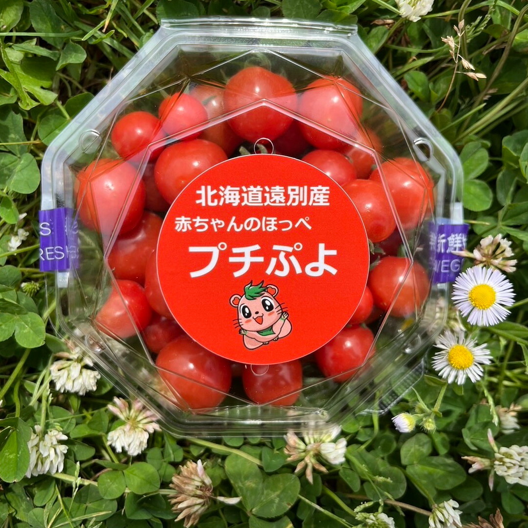【ふるさと納税】赤ちゃんのほっぺ プチぷよ 約1ｋｇ(250ｇ×4パック)サイズ大小詰合せ【事前受付2025年7月下旬～順次出荷】　トマト とまと ミニトマト ミニトマトキャロル 野菜 やさい 緑黄色野菜 夏野菜 甘い 北海道 遠別町
