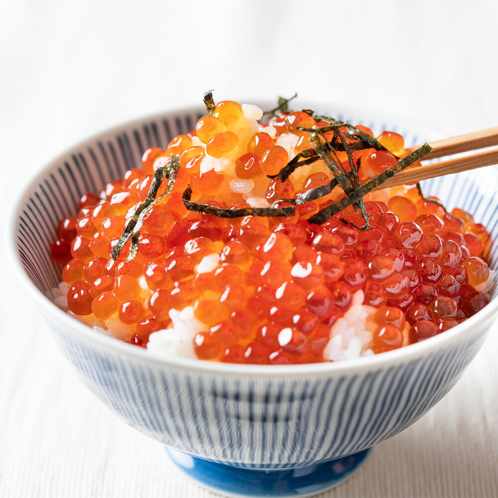 安値 ふるさと納税 天塩の國ブランド いくらの醤油漬け500ｇ北海道 北海道の日本海で獲れた北海道産のいくらを手作業で丁寧に仕上げました 天塩の國