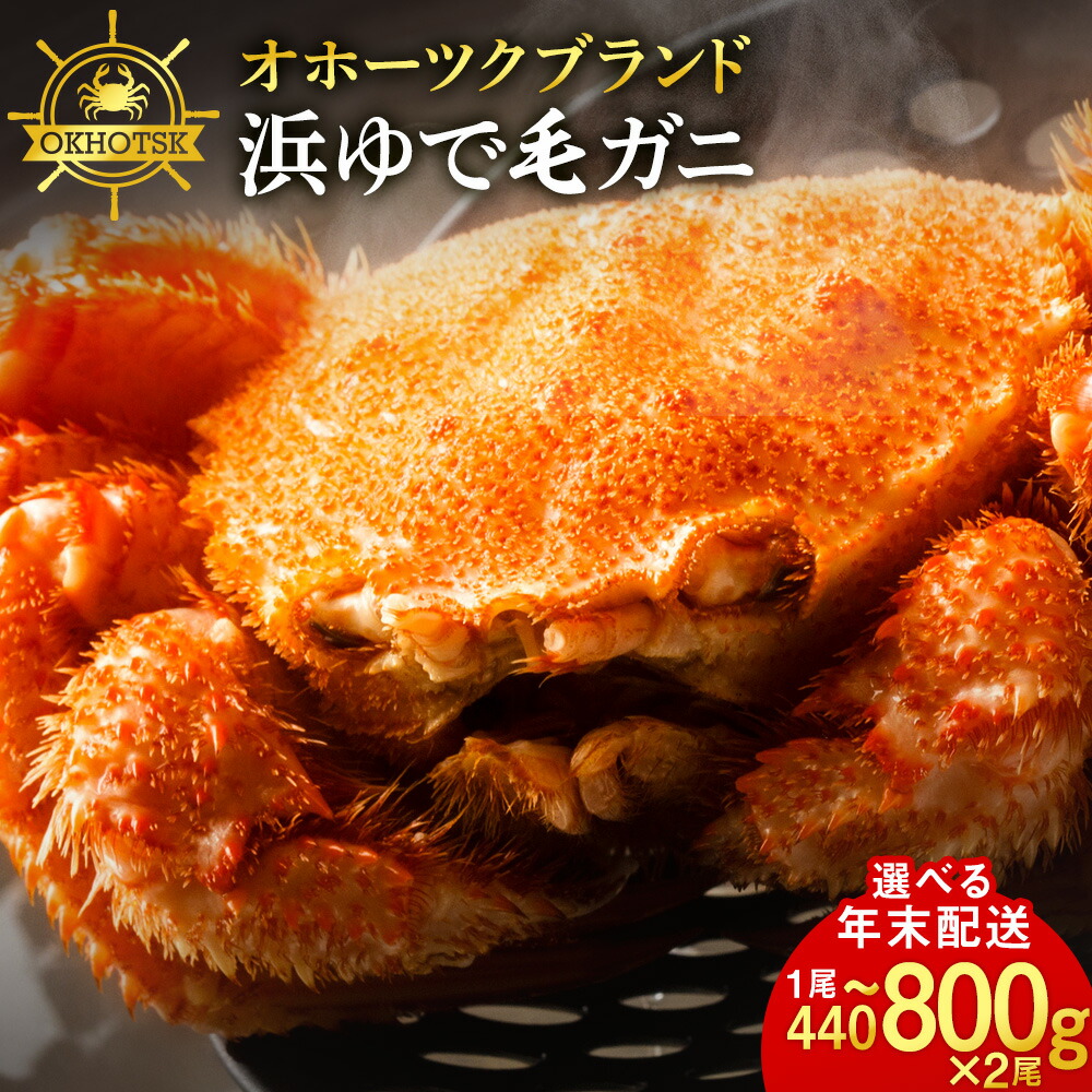【ふるさと納税】【12月発送先行予約】【楽天限定】 ☆北海道産 毛ガニ 選べる約440g～650g 2尾セット 計880g～1.6kg かに カニ 蟹 毛蟹 冷凍 北海道産 浜頓別町<br>北海道ふるさと納税 ふるさと納税 北海道 浜頓別 通販 贈答品 贈り物