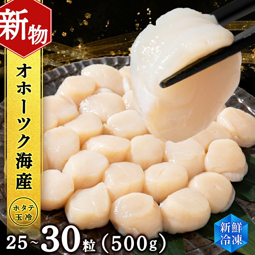 【ふるさと納税】 ホタテ 北海道産 冷凍 貝柱 500ｇ(250g×2個セット)【頓別漁業協同組合】刺身 玉冷 むき身 オホーツク海産 小分け ギフト ほたて 帆立 ホタテ玉冷<br>北海道ふるさと納税 ふるさと納税 北海道 浜頓別 通販 贈答品 贈り物 おせち 年末