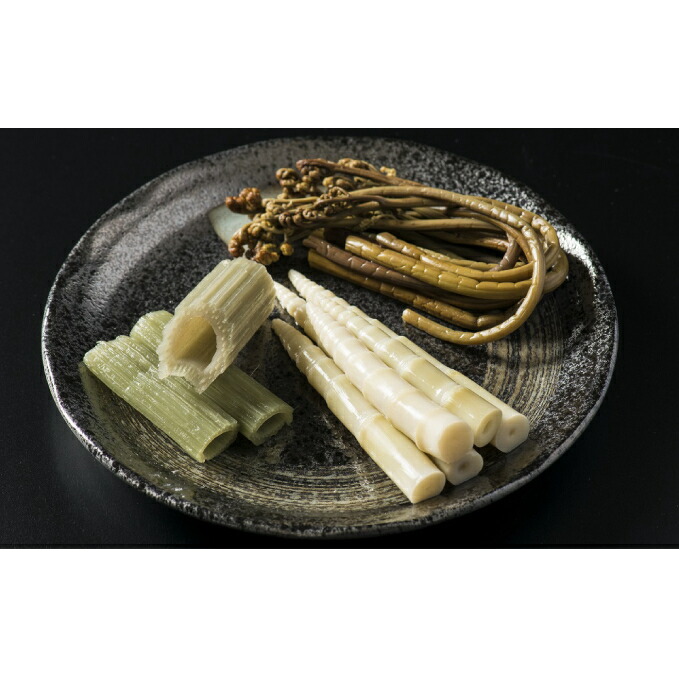 ふるさと納税 3種の山菜 山宝 ふき わらび 姫竹 オホーツク枝幸産 野菜 山菜 Umu Ac Ug