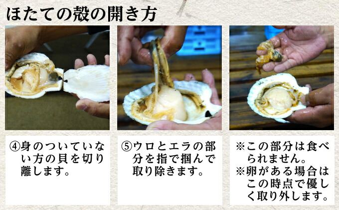 最大70 オフ 活ほたて 5kg 25 35枚 オホーツク産 お届け Fucoa Cl