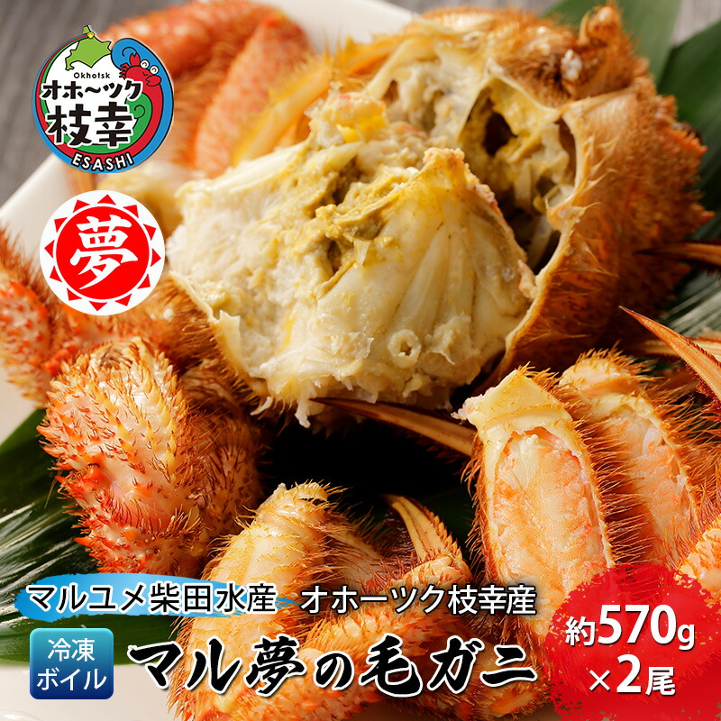 【ふるさと納税】オホーツク枝幸産 マル夢の毛ガニ約570g×2尾【冷凍ボイル】柴田水産【 枝幸産 毛ガニ 蟹 かに カニ 北海道 オホーツク 枝幸 】