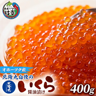 【ふるさと納税】北隆丸自慢のいくら醤油漬け400g オホーツク枝幸産【 いくら イクラ 鮭 鮭卵 魚卵 魚貝 魚介 加工食品 北海道 オホーツク 枝幸 】 23,360円