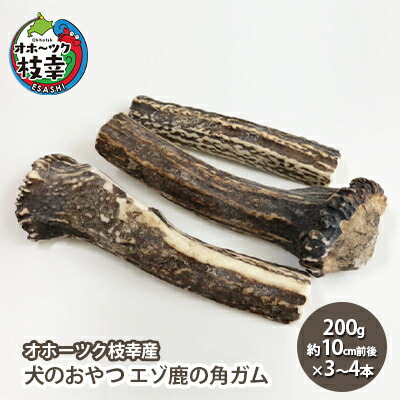 枝幸町ブランド名ほたて特集