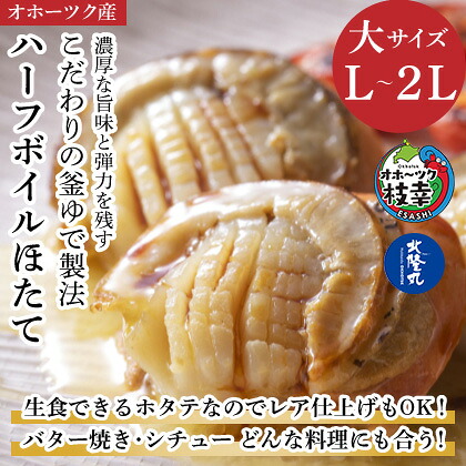 【ふるさと納税】ハーフボイルホタテ［L～2L］大サイズ500g（8～12個）オホーツク産［北隆丸］【 ほたて 帆立 ホタテ 魚貝類 魚介類 海鮮 大粒 ボイル 生 冷凍 加工食品 北海道 オホーツク 枝幸 】