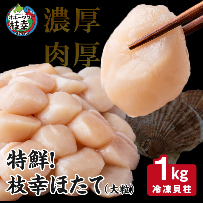 楽天市場】【ふるさと納税】特鮮！枝幸ほたて（中粒）冷凍貝柱1kg（3S