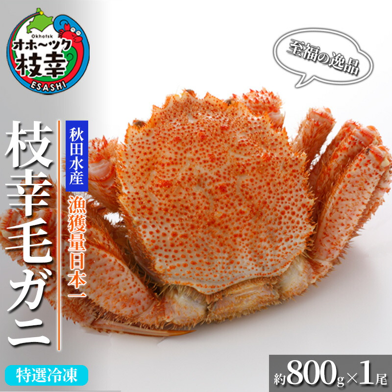【ふるさと納税】【漁獲量日本一】至福の逸品！特選冷凍「枝幸毛がに」約800g×1尾 毛蟹 毛ガニ オホーツク 北海道加工食品 地域のお礼の品 カタログ 毛カニ