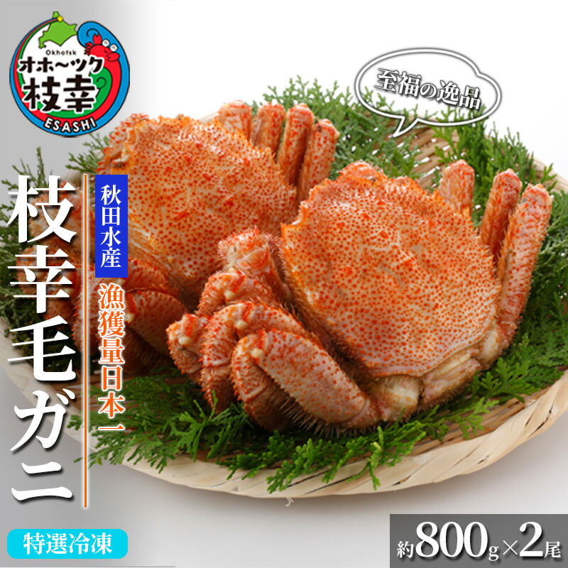【ふるさと納税】【漁獲量日本一】至福の逸品！特選冷凍「枝幸毛がに」約800g×2尾 毛蟹 毛ガニ オホーツク 北海道加工食品 地域のお礼の品 カタログ 毛カニ