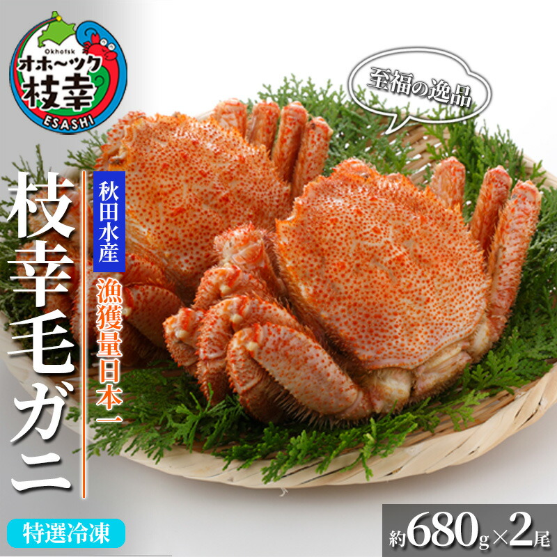 【ふるさと納税】【漁獲量日本一】至福の逸品！特選冷凍「枝幸毛がに」約680g×2尾 毛蟹 毛ガニ オホーツク 北海道加工食品 地域のお礼の品 カタログ 毛カニ