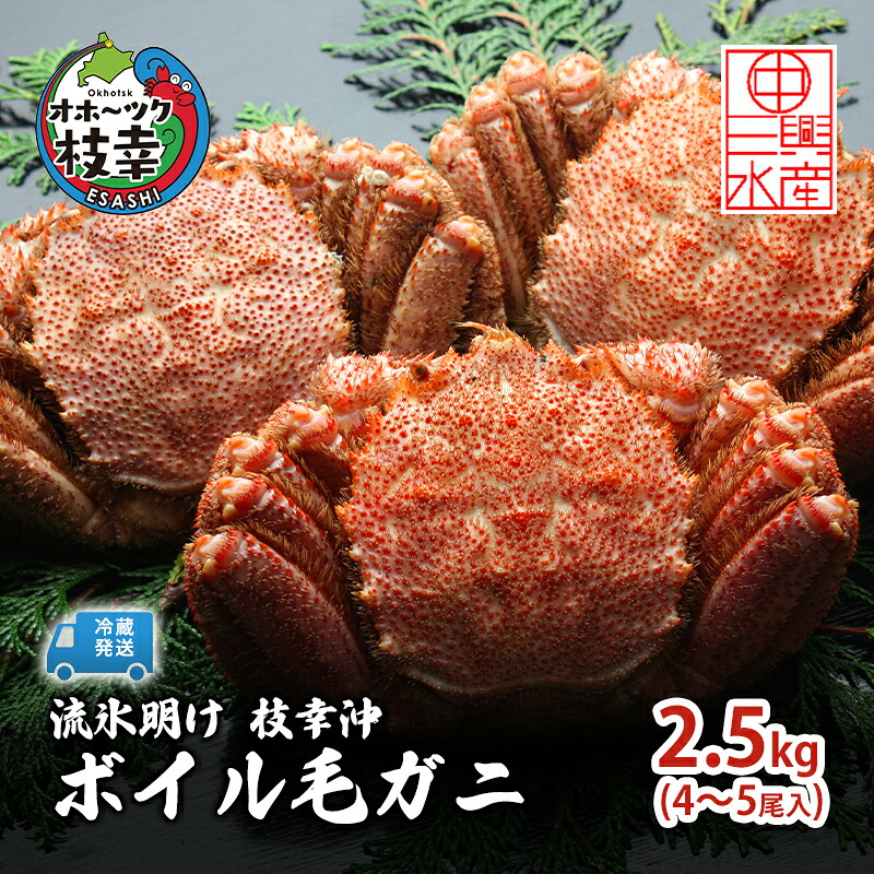 【ふるさと納税】〈冷蔵発送〉流氷明け 枝幸沖 ボイル毛ガニ 2.5kg (4～5尾入) 先行予約【2027年3月頃発送予定】旬の味覚［丸中三興水産］オホーツク枝幸 前浜【 蟹 魚介 北海道 枝幸 】　お届け：2027年3月中旬～3月下旬※気候や漁獲状況により大幅に変わるため目安です。｜北海道枝幸町