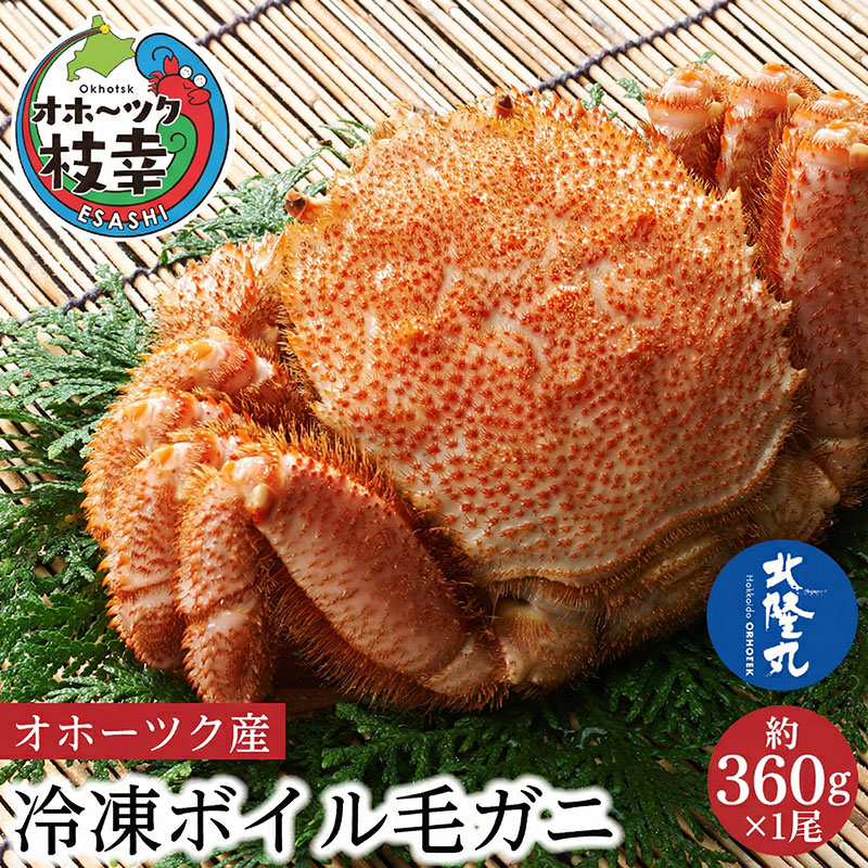【ふるさと納税】オホーツク産 北隆丸 冷凍ボイル 毛ガニ 約360g×1尾【 カニ かに 蟹 毛ガニ 毛蟹 冷凍 魚貝 魚介 海鮮 北海道 オホーツク 枝幸 】
