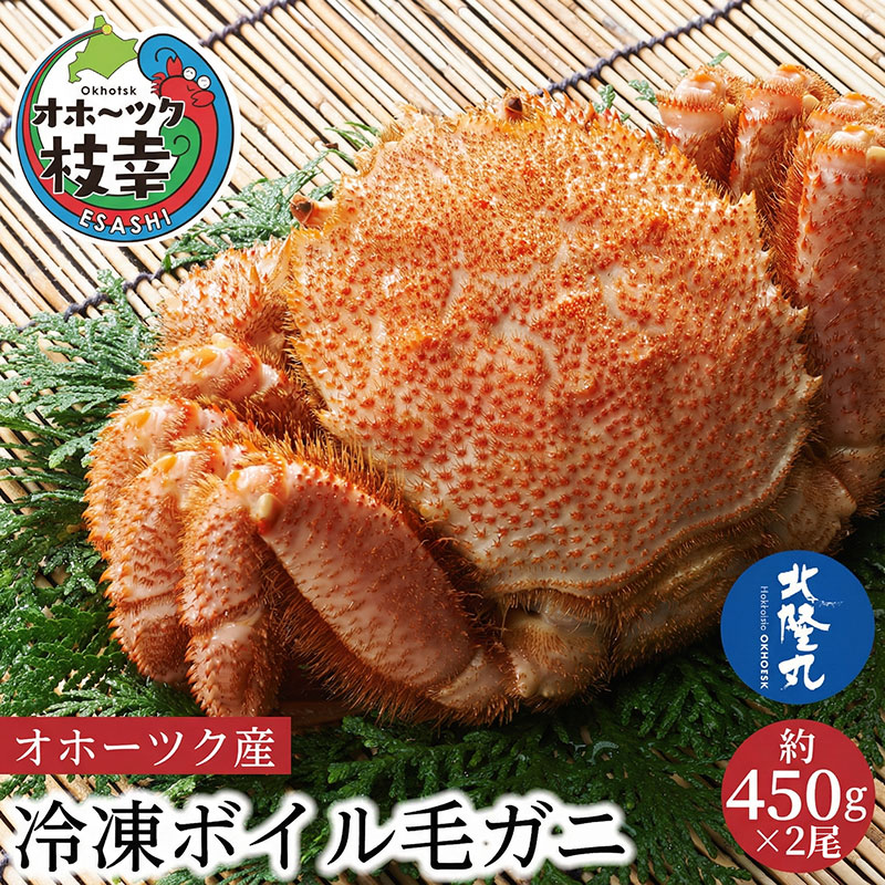 【ふるさと納税】オホーツク産 北隆丸 冷凍ボイル 毛ガニ 約450g×2尾【 カニ かに 蟹 毛ガニ 毛蟹 冷凍 魚貝 魚介 海鮮 北海道 オホーツク 枝幸 】|北海道枝幸町