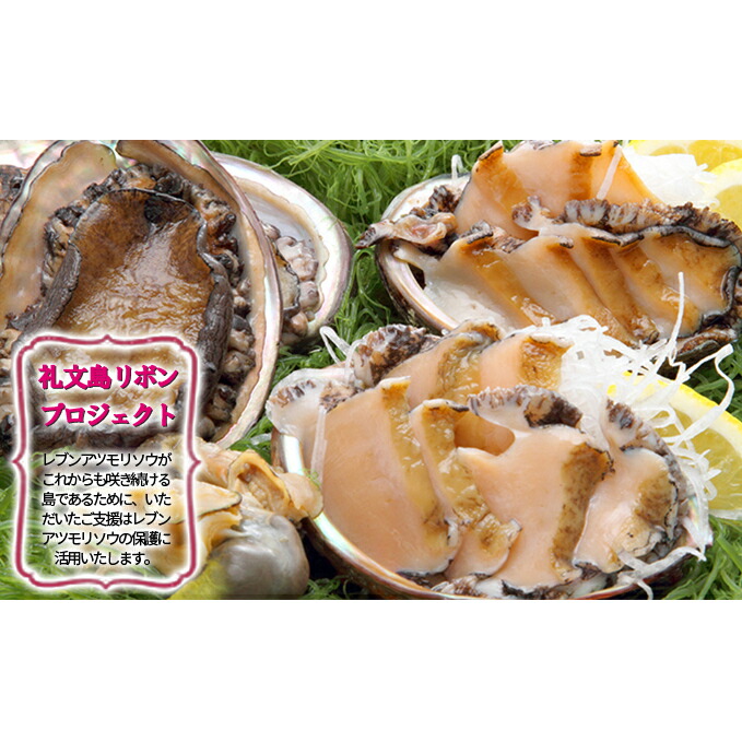ふるさと納税 礼文島糸務め 北海道礼文島創生 速め凝固アワビ500g 2 魚介比い あわび アワビ 鮑 Rrase Com