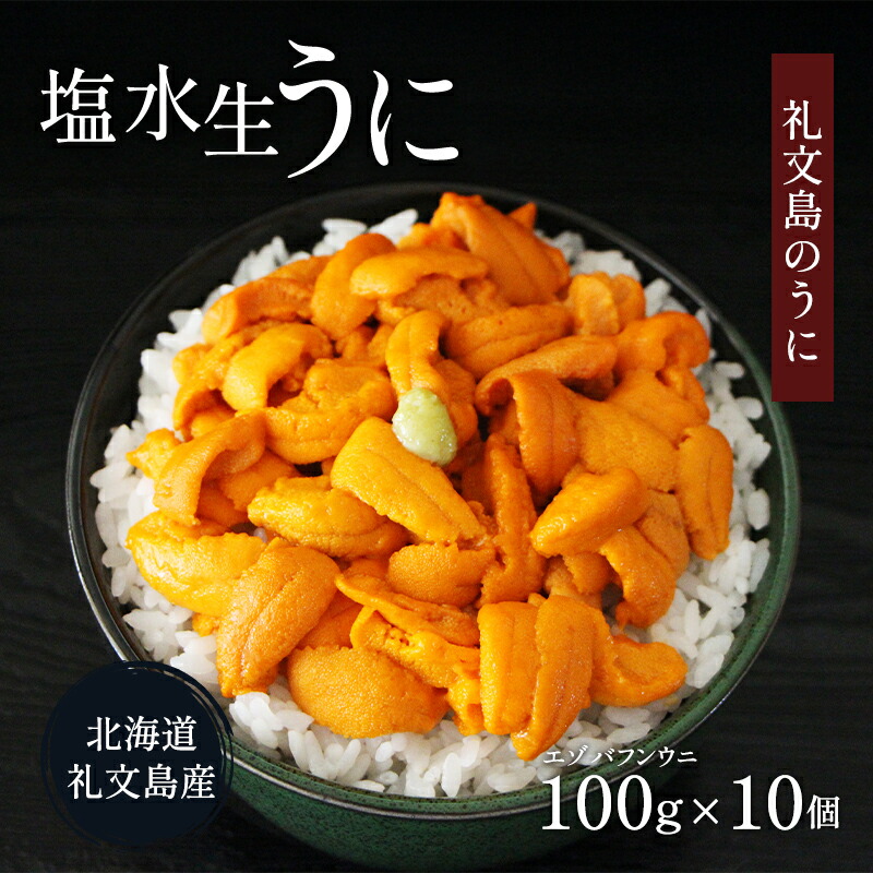 【ふるさと納税】北海道 礼文島産  塩水ウニ （ エゾバフンウニ ）100g×10  生うに うに 雲丹  魚貝類 1kg 　お届け：2025年6月上旬～8月下旬まで