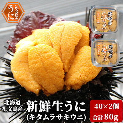 【ふるさと納税】北海道 礼文島産 新鮮生うに（ キタムラサキウニ ）40g×2個 ウニ 雲丹 魚貝類 80g 　お届け：2025年5月上旬～9月中旬まで