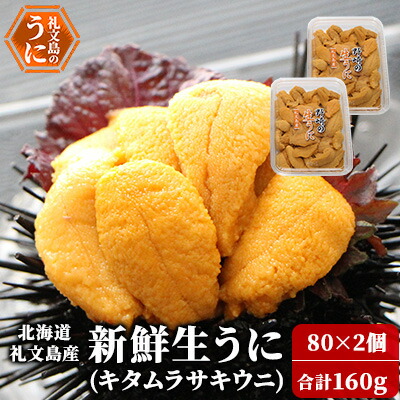 【ふるさと納税】北海道 礼文島産 新鮮生うに（ キタムラサキウニ ）80g×2個 ウニ 雲丹 　お届け：2025年5月上旬～9月中旬まで
